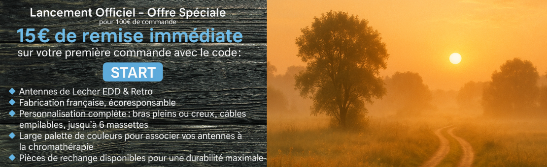 offre promo 15€ de remise immédiate pour 100€ d'achat.